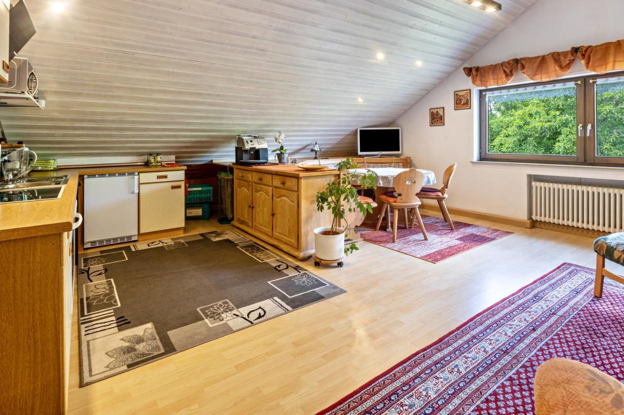HilzingenHaus Am Muehlenbachアパートメント エクステリア 写真